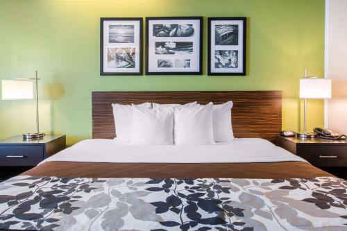 a bed in a hotel room with two lamps at Sleep Inn & Suites Oregon - Toledo in Oregon