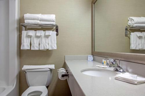 a bathroom with a sink and a toilet and a mirror at Comfort Inn & Suites I-25 near Spaceport America in Truth or Consequences