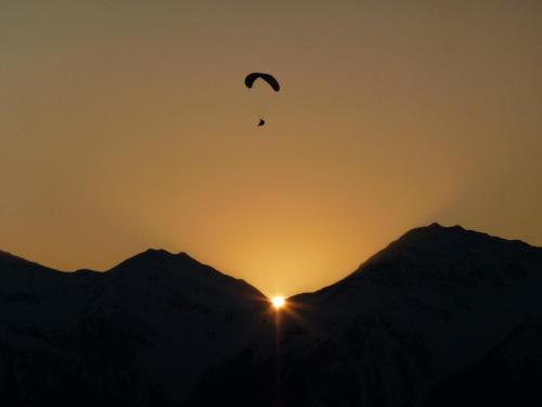 a bird flying over the mountains with the sunset at Herol - my mountain retreat in Luson