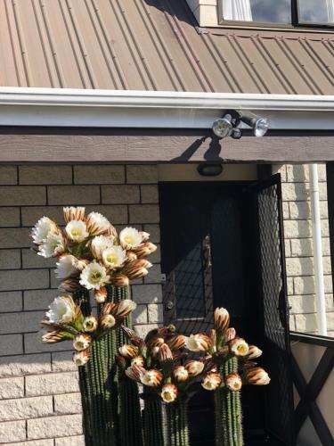 a wreath on the front door of a house at West Lake one bedroom accommodation in Christchurch