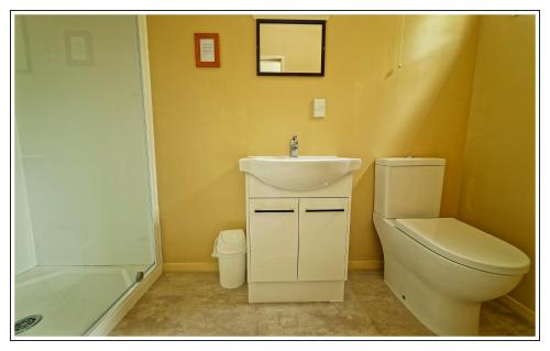 a bathroom with a sink and a toilet and a shower at Lantern Court Motel in Reefton