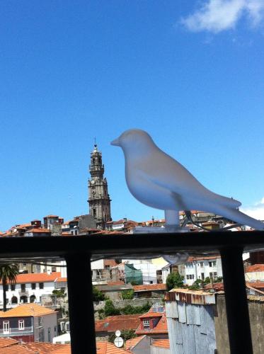 a white bird sitting on top of a window at Urban Apartment Casa da Portela in Porto