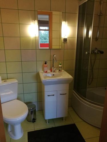 a bathroom with a sink and a toilet and a shower at Dom Wczasowy Pięciu Pomostów in Czaplinek