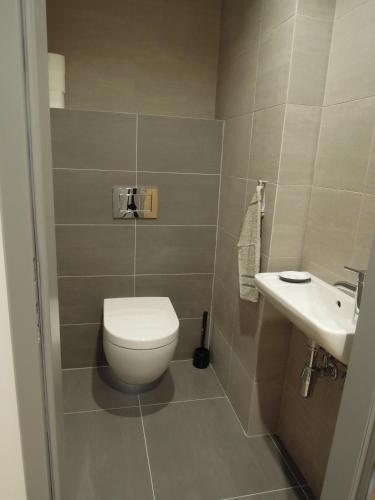 a bathroom with a toilet and a sink at Hotel U Kabinky in Janske Lazne