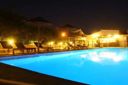 - une piscine avec chaises longues et parasols la nuit dans l'établissement Residence U Veniqui, à Favone