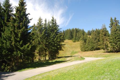 une route au milieu d'un champ arboré dans l'établissement LE Refuge 4005, à Manigod