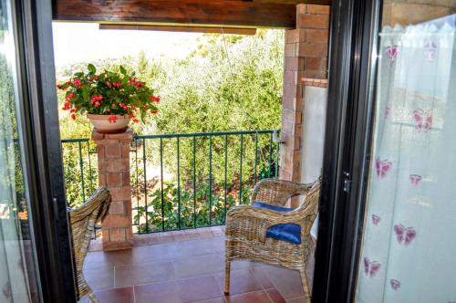 a balcony with two chairs and a pot of flowers at B&B Le Anthos in Marina di Camerota