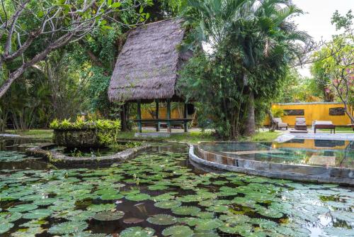 a pond with lily pads in front of a building at Hotel Pondok Sari Beach & SPA Resort in Pemuteran