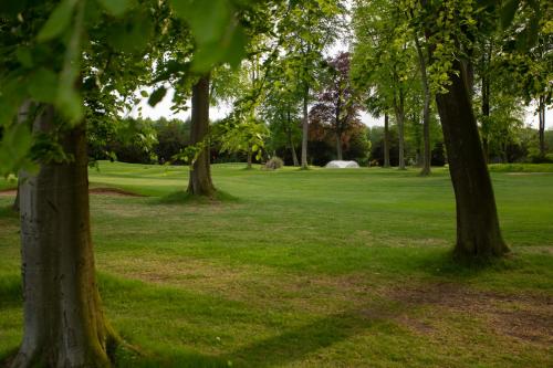 a group of trees in a field of grass at Forest Pines Hotel, Spa & Golf Resort in Scunthorpe