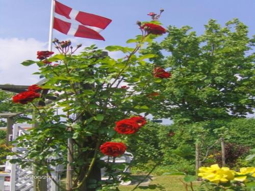 una bandera en un poste de bandera con flores rojas en Guesthouse Sønderborg, Ulkebøl en Spang