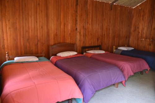 three beds in a room with wooden walls at Oasis Paraiso Ecolodge in Cabanaconde