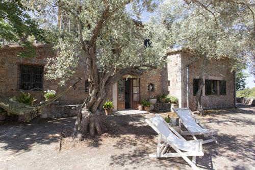 two white chairs under a tree in front of a house at Villa Es Coco, Soller in Port de Soller