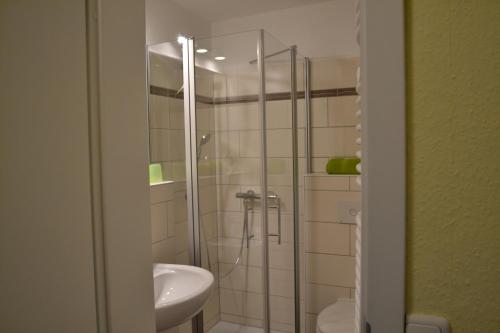 un bagno con doccia e lavandino di Haus Steeg a Braunlage