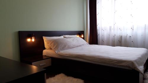 a bedroom with a large bed with a window at Cluj Accommodation Nasaud in Cluj-Napoca