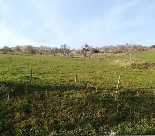 Φυσικό τοπίο κοντά σε αυτό το κατάλυμα σε φάρμα