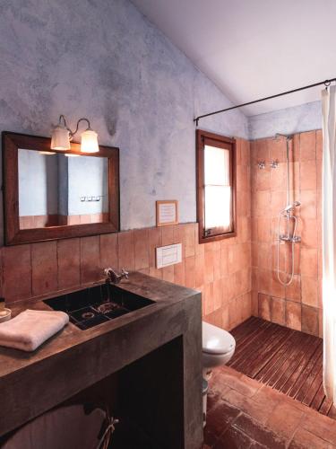 a bathroom with a sink and a toilet and a shower at Mas Teixidor in Crespiá