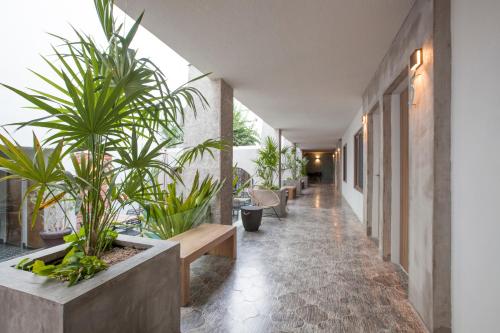 a hallway with potted plants and benches in a building at Casa al Mar in La Paz
