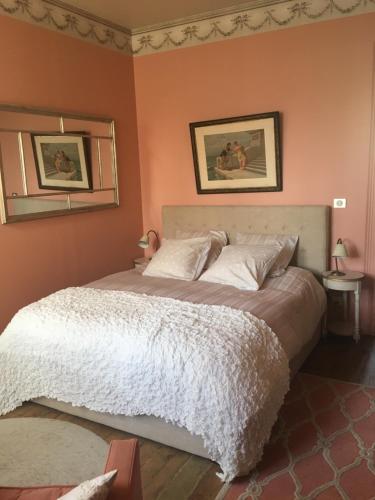 ボルドーにあるsuperbe appartement standingのベッドルーム1室(オレンジ色の壁の大型ベッド1台付)
