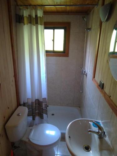 Un baño de Cabanas Valdivia - Tres Espinos - camino a Niebla
