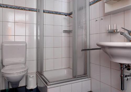 a bathroom with a shower and a toilet and a sink at Apartment Brunnmatt in Zermatt