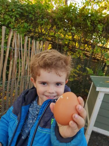 a young boy holding up a plastic ball at B&B Resort Tremele in Dreumel