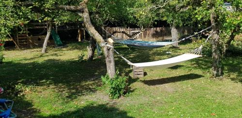 a hammock hanging from a tree in a yard at B&B Resort Tremele in Dreumel