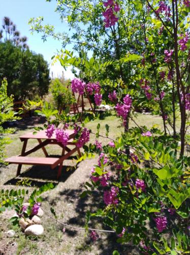a picnic bench in a garden with purple flowers at Cabañas Abigail in Nono