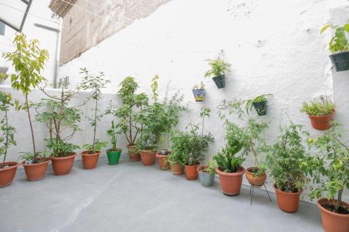 Apartamento Albaicín Granada