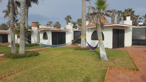 a house with a hammock tied to a palm tree at Bungalos Las Esperanzas in Cabo Punta Banda