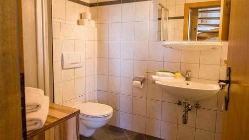 ein Bad mit einem WC und einem Waschbecken in der Unterkunft Apartment Bauernhof Thurnummerstall in Hollersbach im Pinzgau