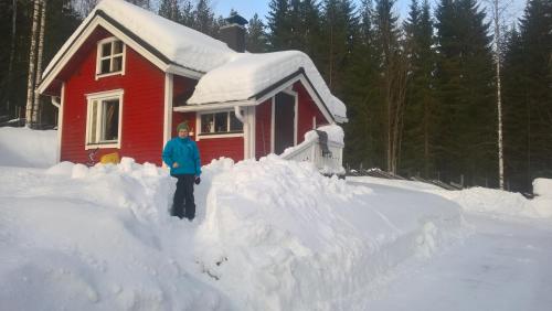 Objekt Metsäpirtti zimi
