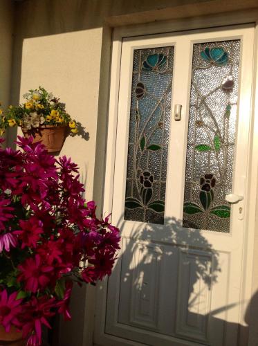 a door with a potted plant and flowers on it at Annandale House in Dublin