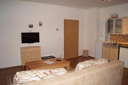 a living room with a couch and a table at Apartments Klinovec in Loučná pod Klínovcem