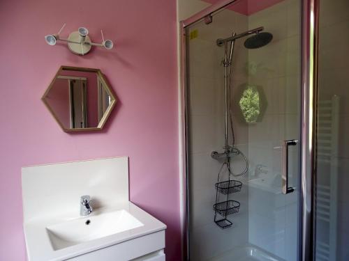 Sassetot-le-MauconduitにあるVilla Dianeのピンクの壁のバスルーム(シンク、シャワー付)