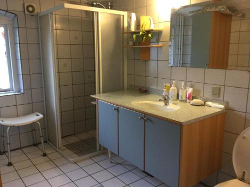 La salle de bains est pourvue d'un lavabo et d'une douche. dans l'établissement Aadal Apartment, à Karup