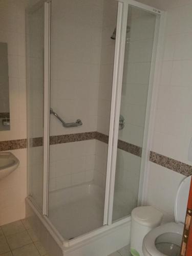 een badkamer met een douche en een toilet bij 2 fős apartman Badacsonytomajon in Badacsonytomaj