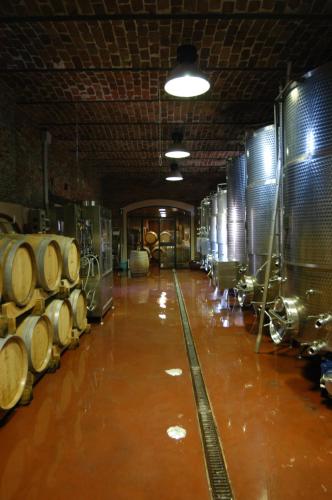 a room with a bunch of barrels in a cellar at La Giribaldina Winery & Farmhouse in Calamandrana