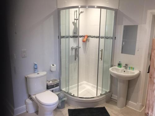 uma casa de banho com um chuveiro, um WC e um lavatório. em Beightons Bed and Breakfast em Bury Saint Edmunds
