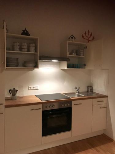 een keuken met een wastafel en een fornuis top oven bij City Center Studio in Graz
