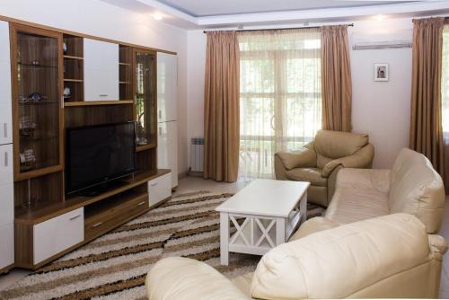 a living room with a couch and a tv at ABC Apartments Business Class in Kyiv
