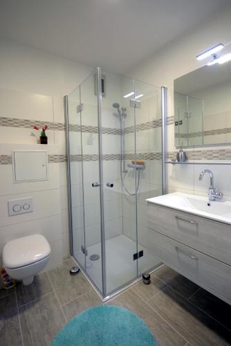 a bathroom with a shower and a toilet and a sink at Ferienwohnung Neagu mit 2 Apartements in Winterberg