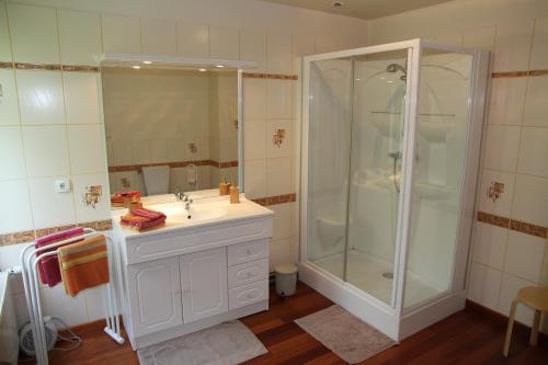 baño blanco con ducha y lavamanos en Les Rives de l'Andelle, en Romilly-sur-Andelle