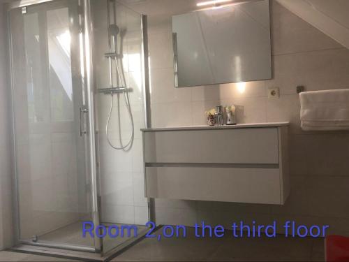 a bathroom with a shower and a sink at B&B nancy in holland met eigen badkamer , independent bathroom in Aalten