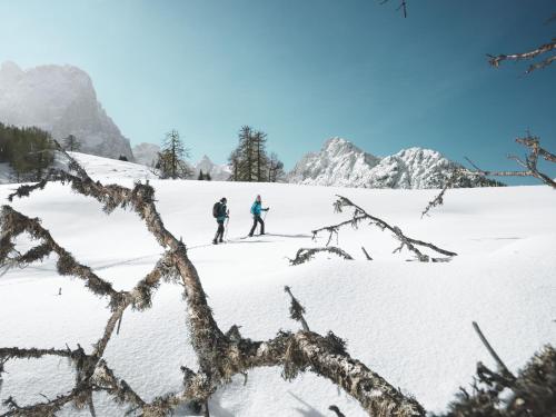 Gallery image of Alpengasthof Pichler in Sankt Veit in Defereggen