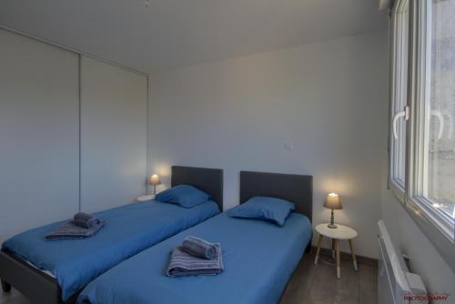 2 camas en una habitación con sábanas azules y ventana en MONTALIEU SEJOUR 2 Maisons, Les tulipes ou Les Bambous, en Montalieu-Vercieu