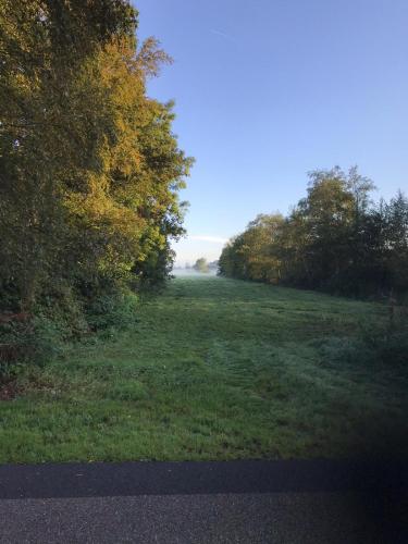 a field of grass with trees on the side of a road at De Fugelsang in Jonkersland