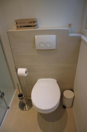 a bathroom with a white toilet and a toilet paper dispenser at De Fugelsang in Jonkersland