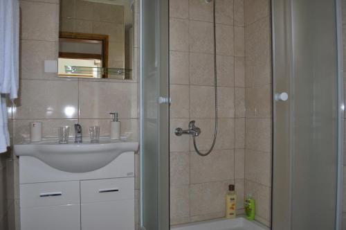 La salle de bains est pourvue d'un lavabo et d'une douche. dans l'établissement Green House, à Kolašin