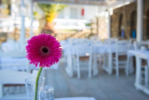 Gallery image of Villa Irini in Platis Yialos Sifnos