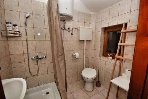 a bathroom with a shower and a toilet and a sink at Apartmani 077 in Drvar